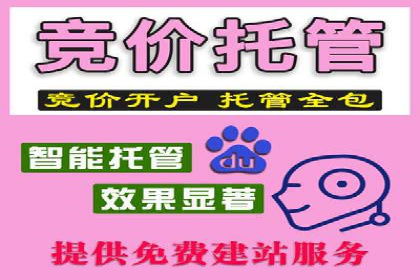 零售业SEM服务托管的投放技巧与效果展示