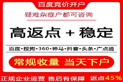 百度广告推广案例解析